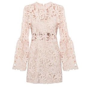 Endless Rose Cutout Lace Dress